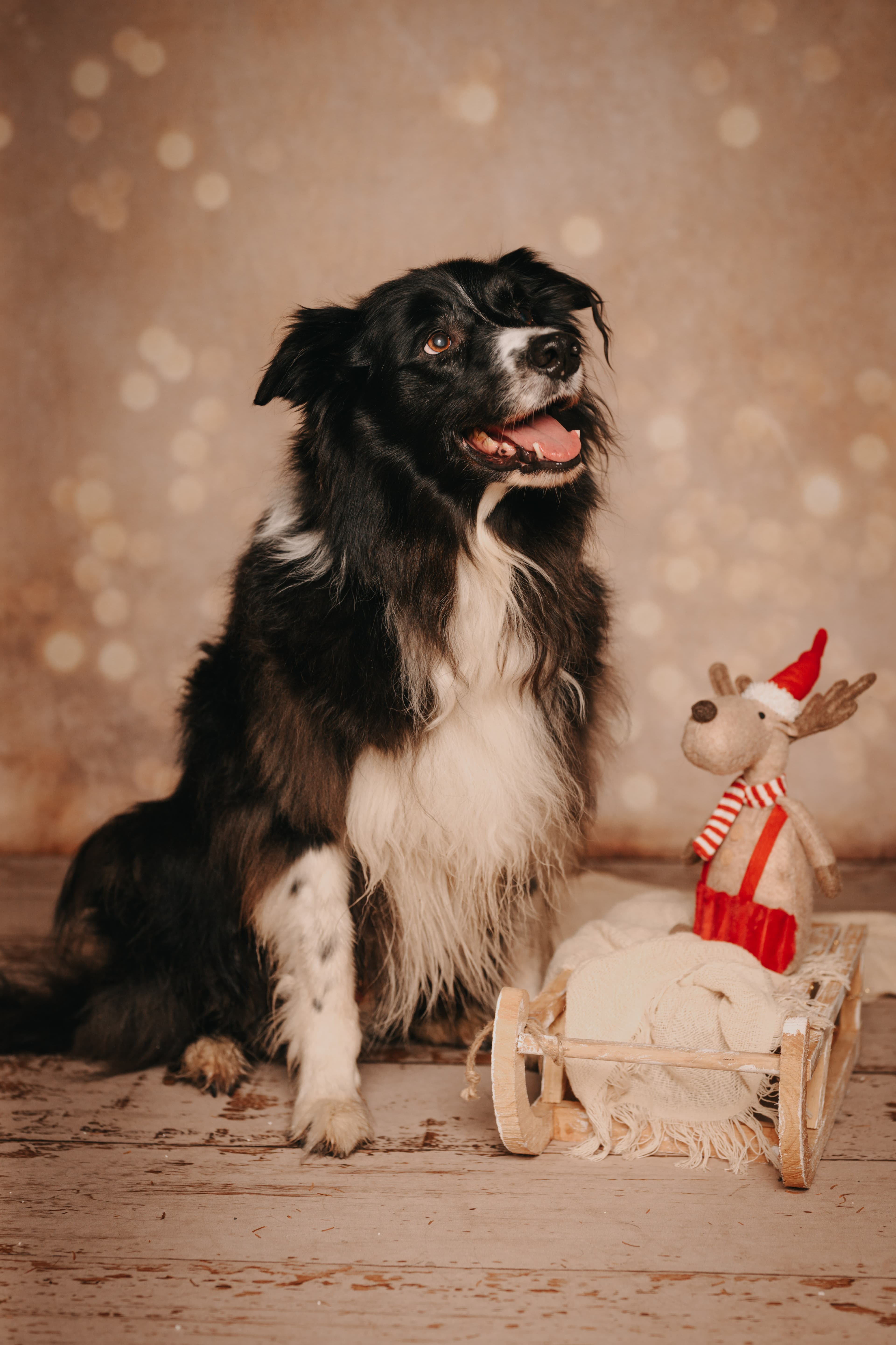Aron beim Weihnachtsshooting